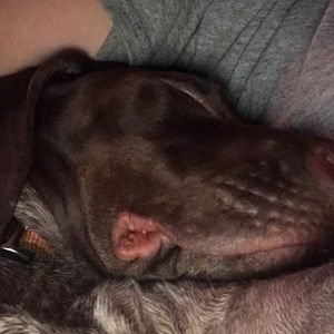 Meet your Posher, Jason